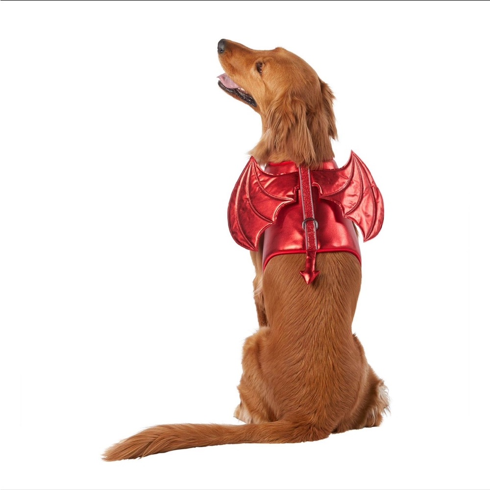 Pet Halloween costume